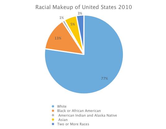 United States Race Pie Chart